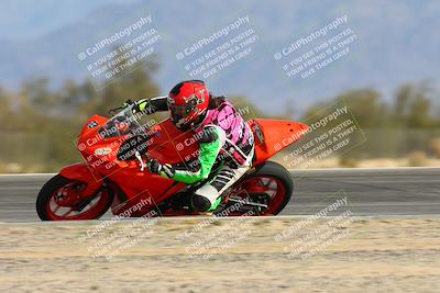 media/Jan-19-2024-Apex Assassins-CVMA Friday (Fri) [[74e94f2102]]/Trackday 1/Session 3 Turn 3 Inside Speed/